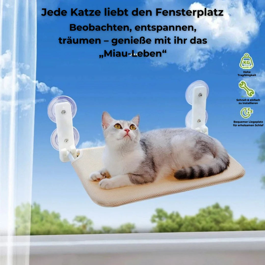 🐱 CatVista Lounge – Der Fensterplatz, den deine Katze verdient!