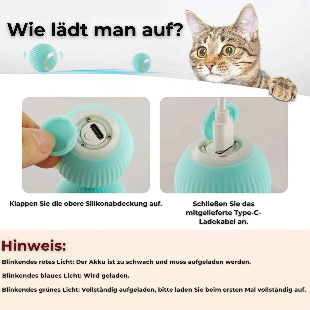 Smart Cat Toy - Macht die Katze froh!