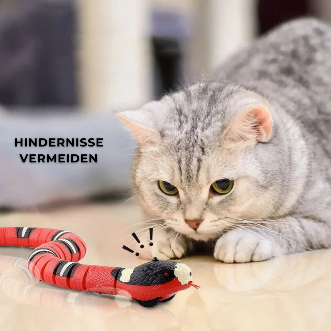 Smart Cat Toy - Macht die Katze froh!