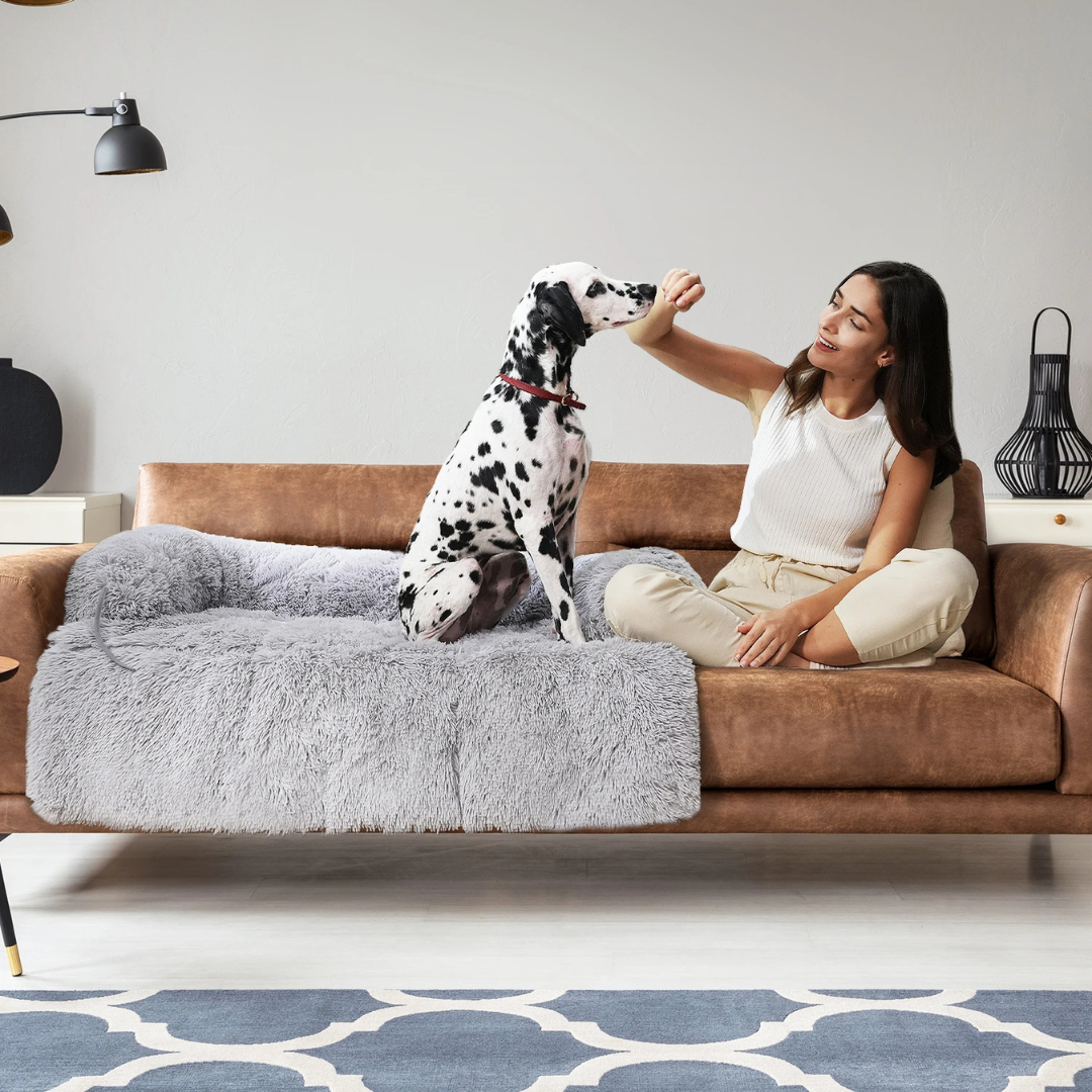 CozyPet SofaBed – Der Lieblingsplatz für dein Haustier!